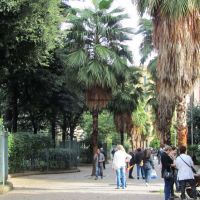 IMG_8403