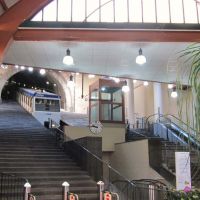 IMG_8286