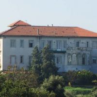 IMG_8580