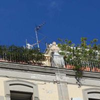 IMG_9733
