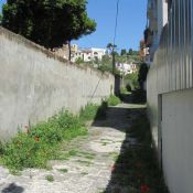 IMG_1800