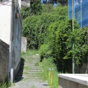IMG_1808
