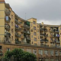 IMG_2010