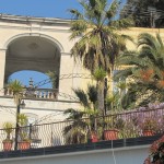 villa Belvedere - giardino