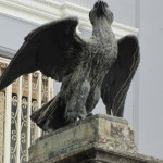 particolare aquila