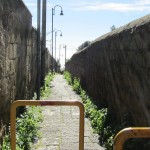 IMG_9842
