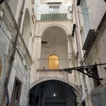 IMG_8305