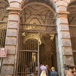 IMG_8113