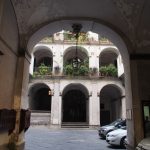 P1010051 P1010051